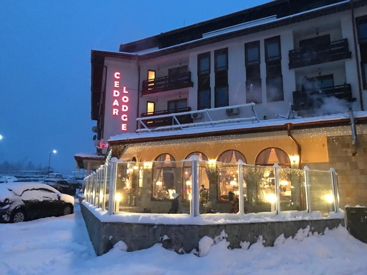 Ski Zone At Gondola, Perfect One Bdrm, Fast Wifi, Netflix, Quiet, Warm Bansko Exterior foto